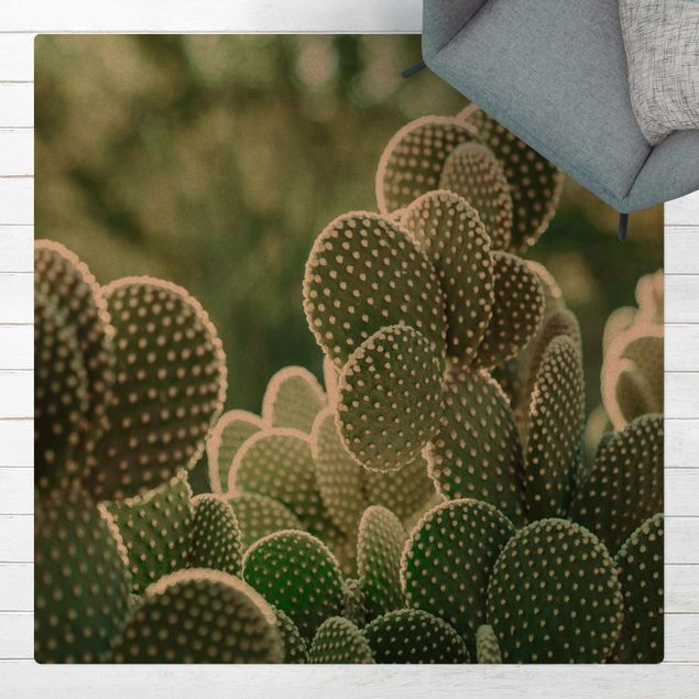 Moderne tæpper Cacti