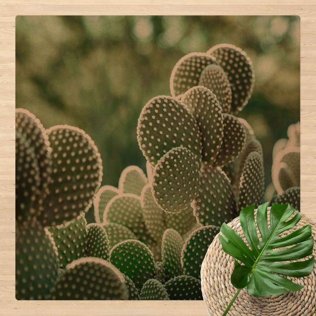 Kork måtter Cacti