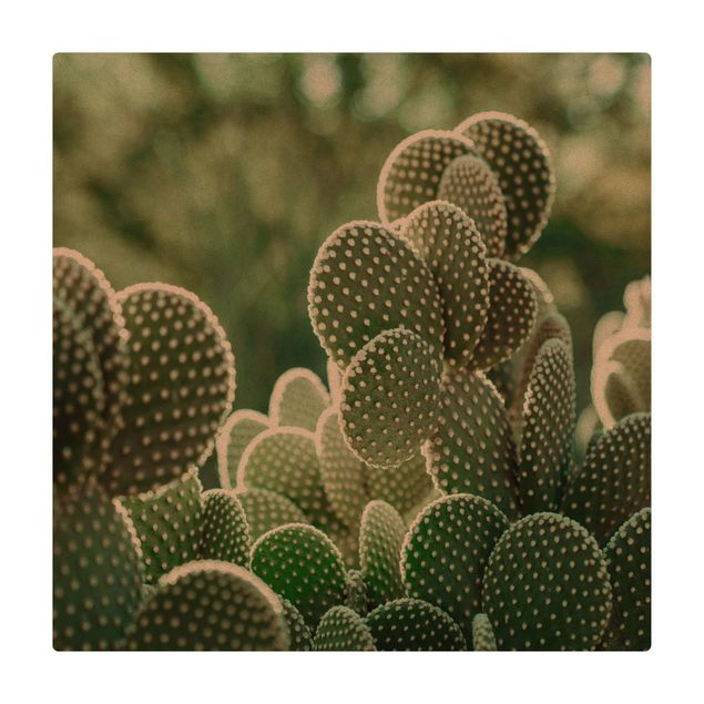 Store tæpper Cacti