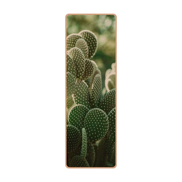 store gulvtæpper Cacti