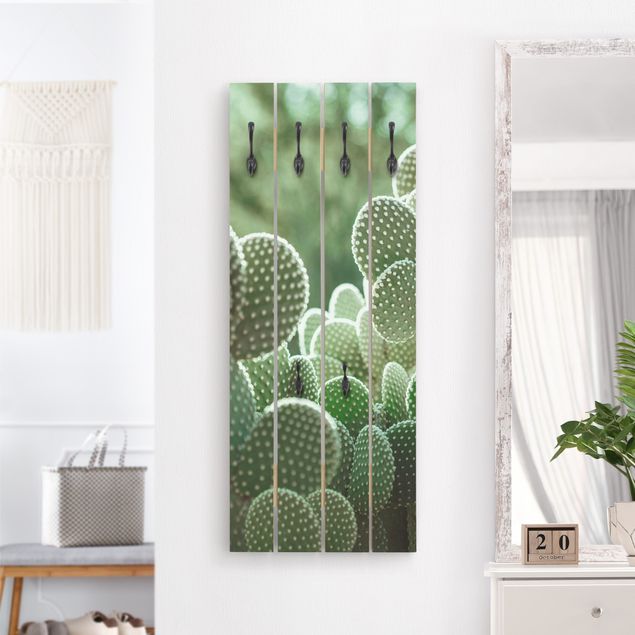 Knagerækker blomster Cacti