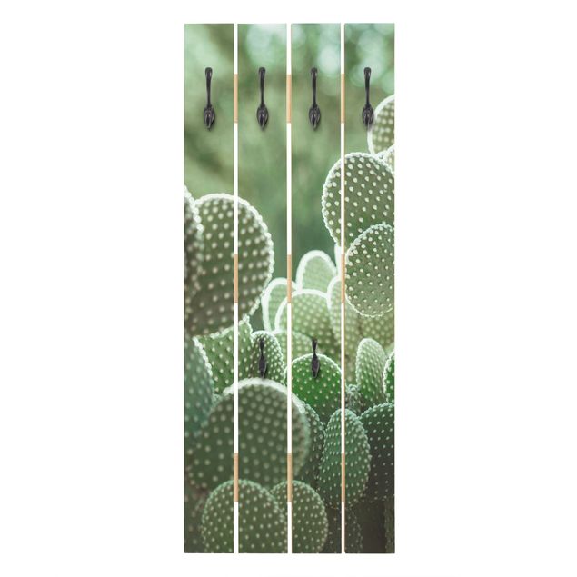 Knagerækker Cacti