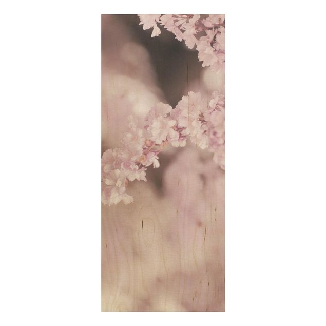 Prints på træ blomster Cherry Blossoms In Purple Light
