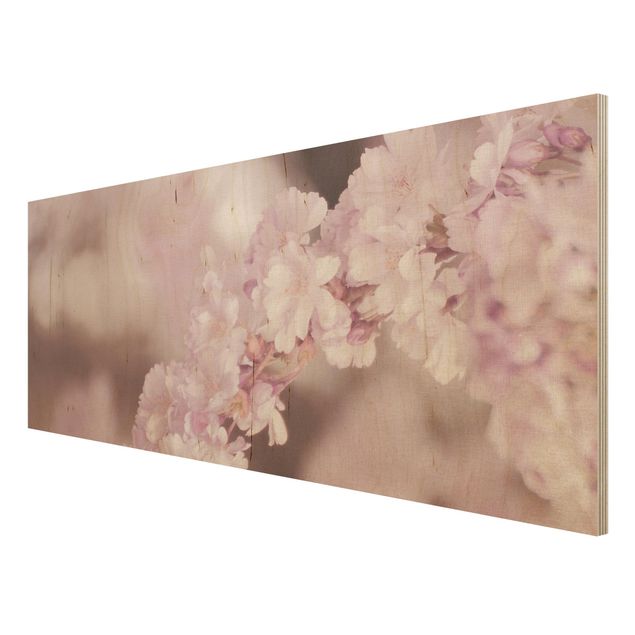 Billeder Monika Strigel Cherry Blossoms In Purple Light