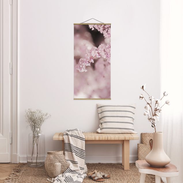 Billeder blomster Cherry Blossoms In Purple Light