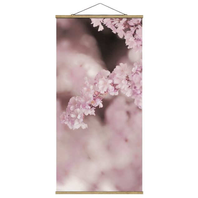Billeder moderne Cherry Blossoms In Purple Light