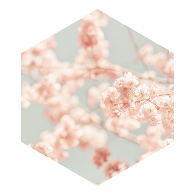 Billeder Monika Strigel Cherry Blossom Glow