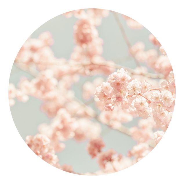 Moderne tapet Cherry Blossom Glow