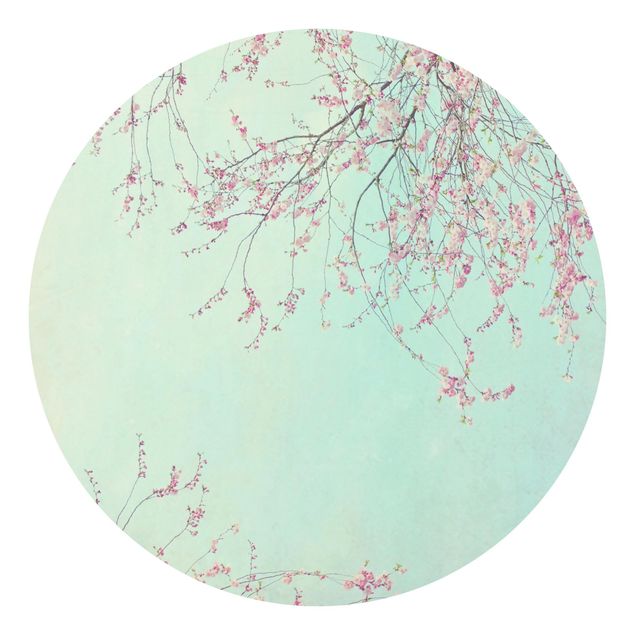 Tapet Cherry Blossom Yearning