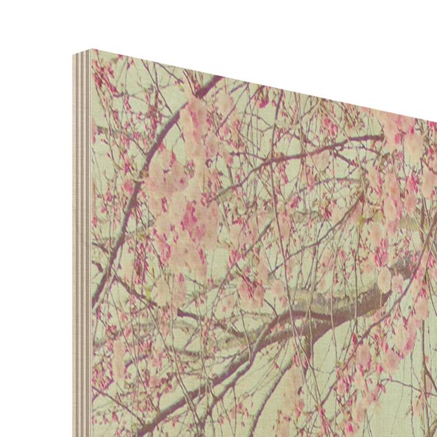 Prints på træ Cherry Blossom Yearning