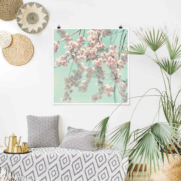Plakater blomster Dancing Cherry Blossoms On Canvas