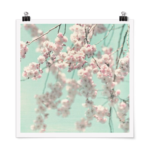 Billeder blomster Dancing Cherry Blossoms On Canvas