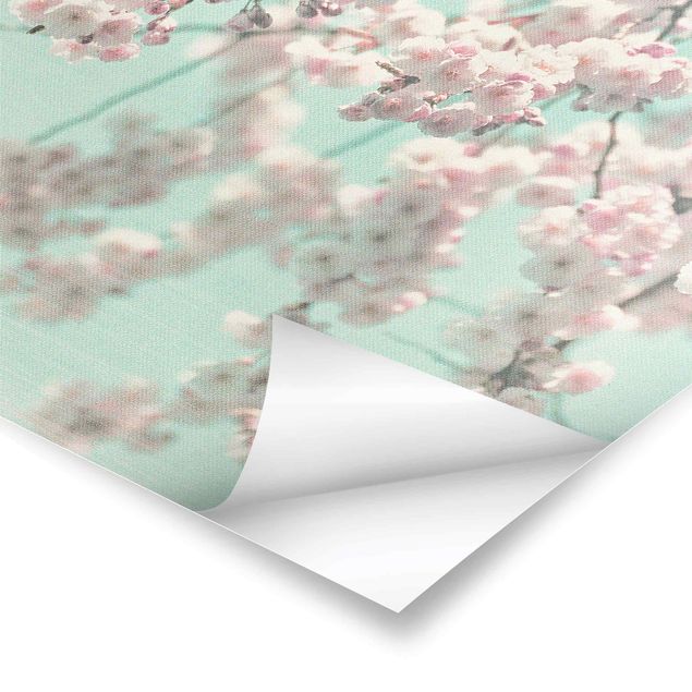 Plakater Dancing Cherry Blossoms On Canvas