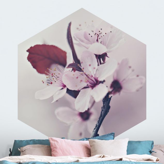 Tapet blomster Cherry Blossom Branch Antique Pink