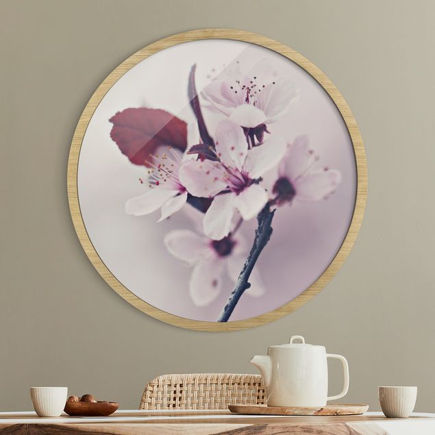 Indrammede plakater blomster Cherry Blossom Branch Antique Pink