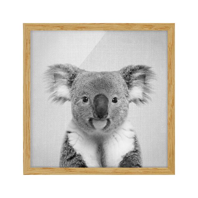 Billeder moderne Koala Klaus Black And White