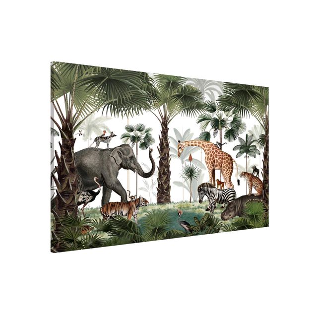 Billeder elefanter Kingdom of the jungle animals