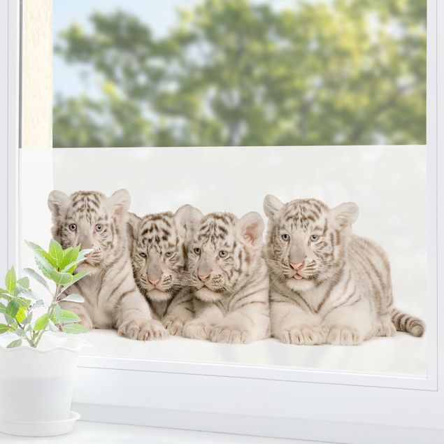 Børneværelse deco Bengal Tiger Babies