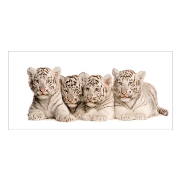 Vinduesklistermærker dyr Bengal Tiger Babies
