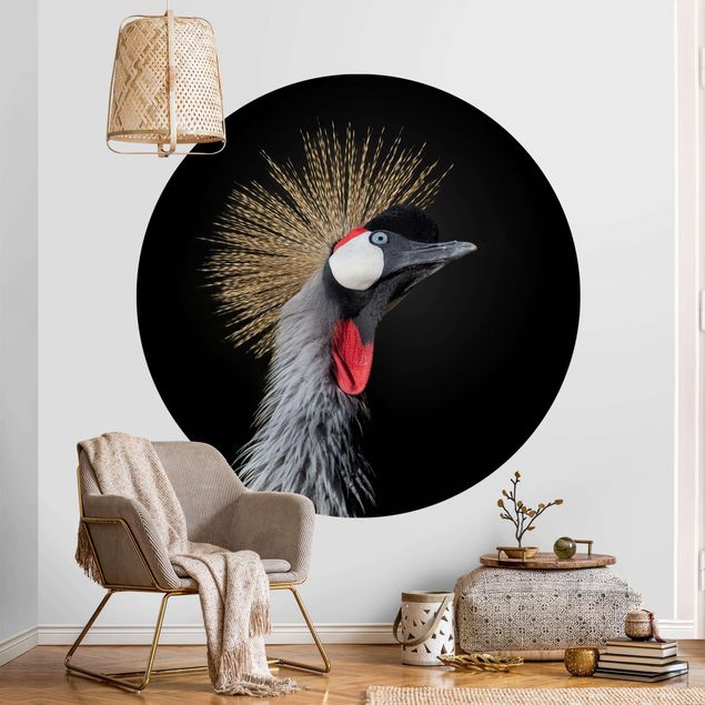 Tapet fugle Crowned Crane In Front Of Black