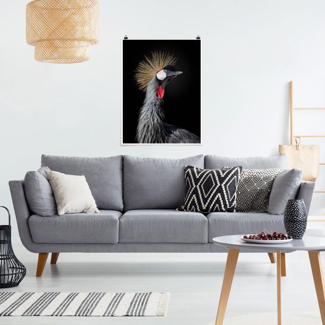Plakater dyr Crowned Crane In Front Of Black
