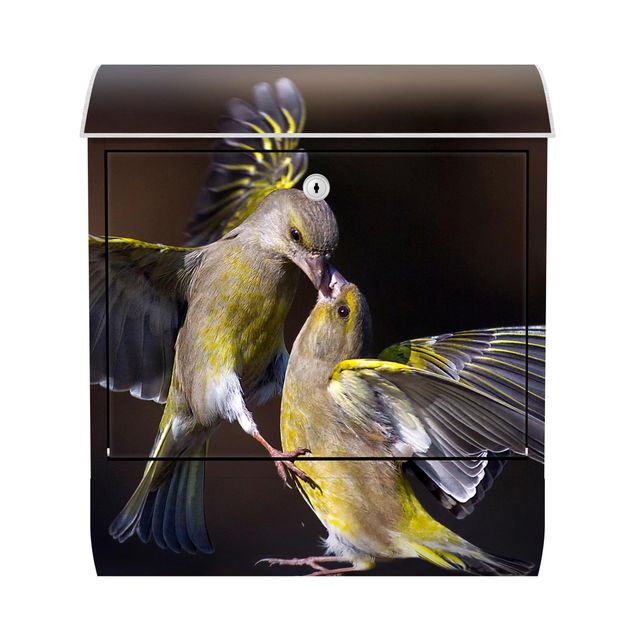 Postkasser gul Kissing Hummingbirds