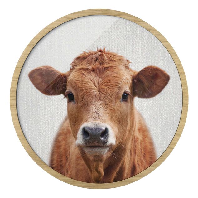 Billeder moderne Cow Kathrin