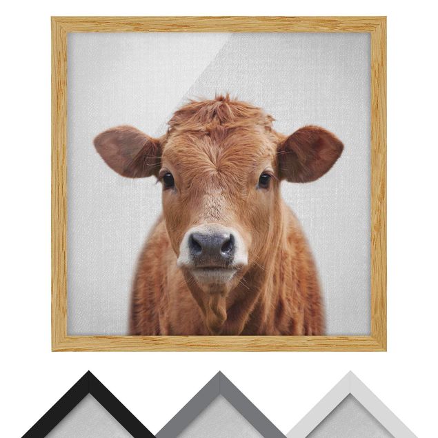 Billeder Gal Design Cow Kathrin