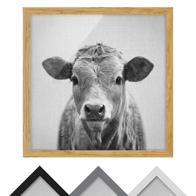 Billeder Gal Design Cow Kathrin Black And White
