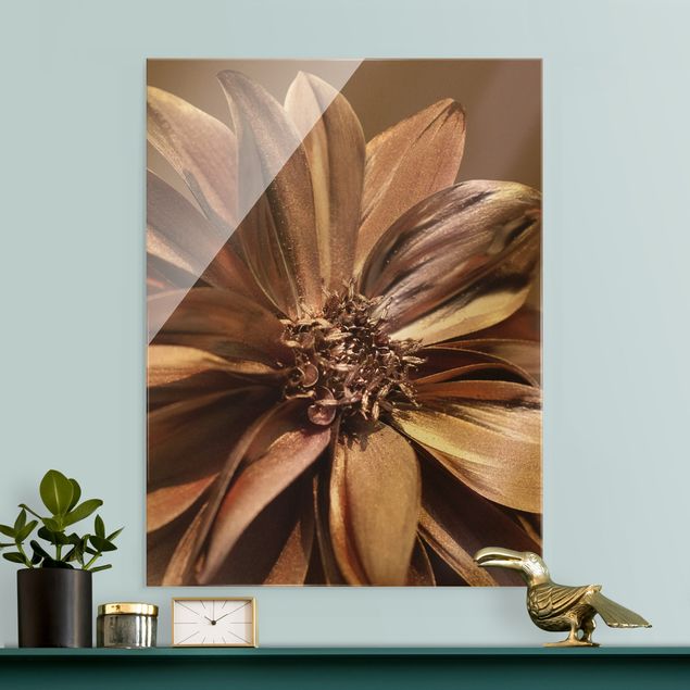 Glasbilleder blomster Copper Golden Dahlia Dream