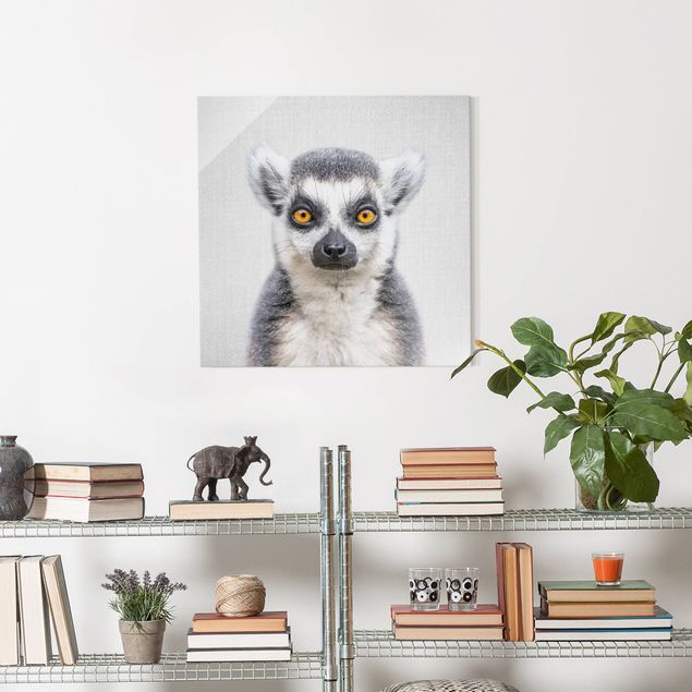 Glasbilleder sort og hvid Lemur Ludwig