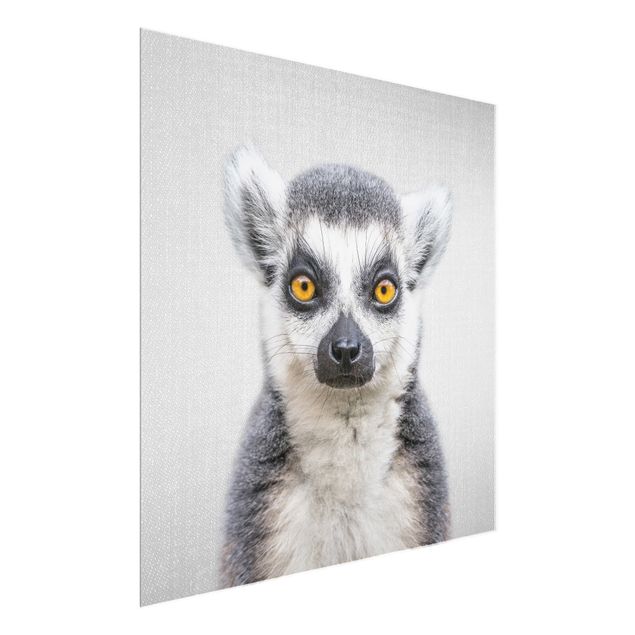 Glasbilleder dyr Lemur Ludwig