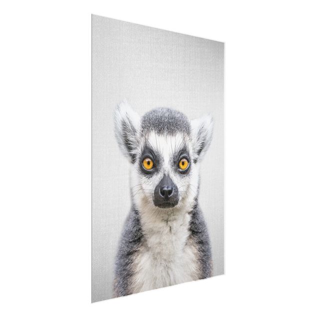Glasbilleder dyr Lemur Ludwig