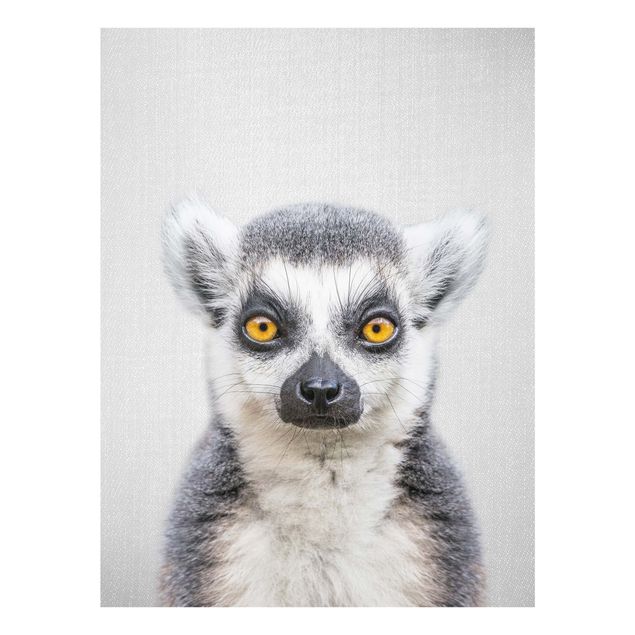 Billeder moderne Lemur Ludwig