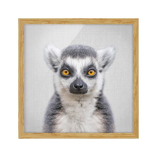 Indrammede plakater dyr Lemur Ludwig