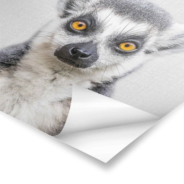 Billeder Gal Design Lemur Ludwig