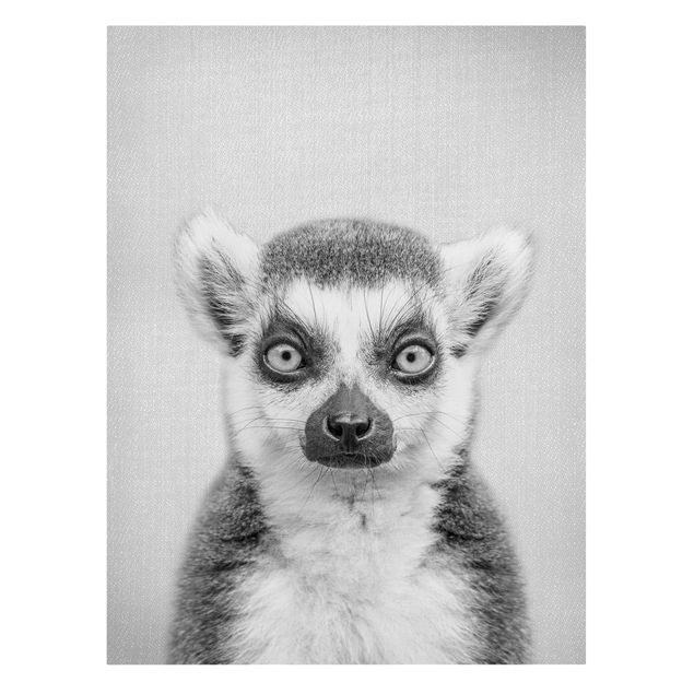 Billeder på lærred dyr Lemur Ludwig Black And White