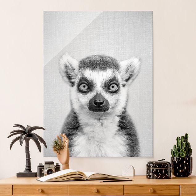 Billeder aber Lemur Ludwig Black And White