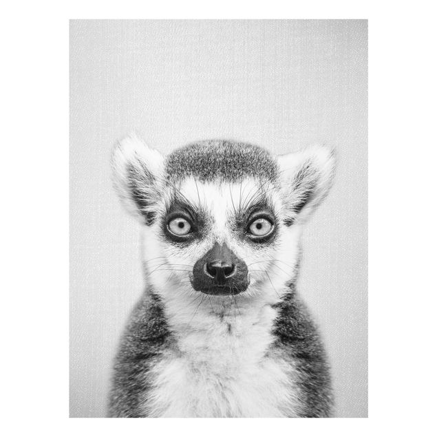 Billeder moderne Lemur Ludwig Black And White