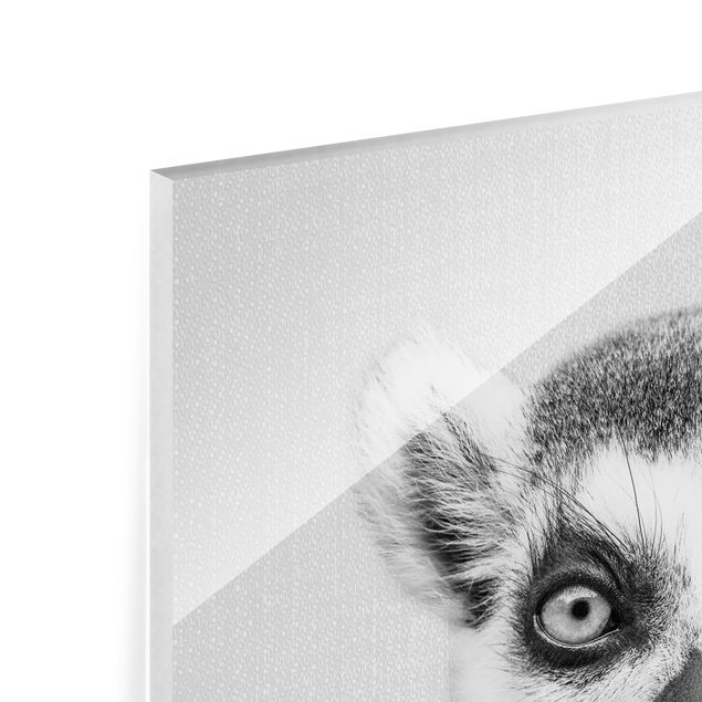 Billeder Gal Design Lemur Ludwig Black And White