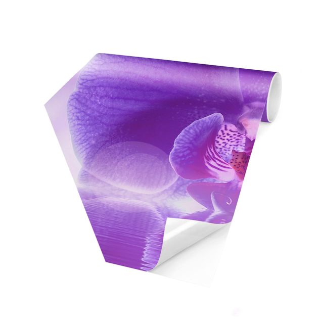 Sekskantede Tapeter Purple Orchid On Water