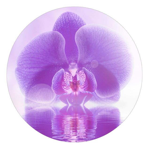 Moderne tapet Purple Orchid On Water