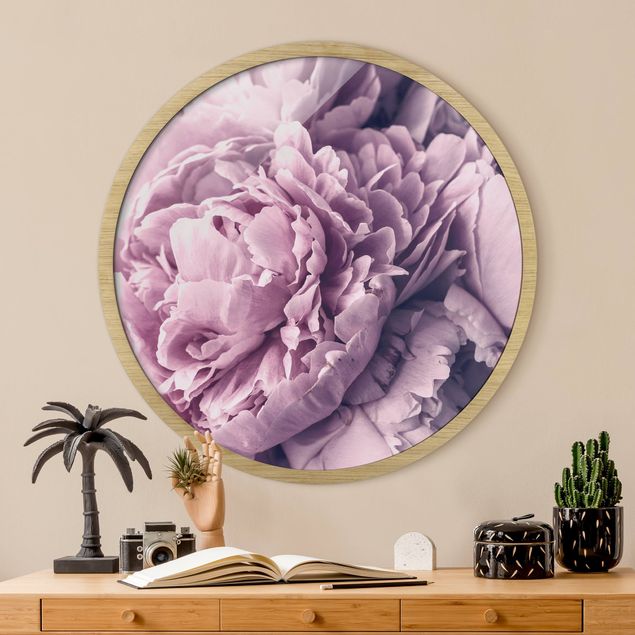 Indrammede plakater blomster Purple Peony Blossoms