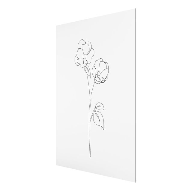 Billeder sort og hvid Line Art Flowers - Poppy Flower