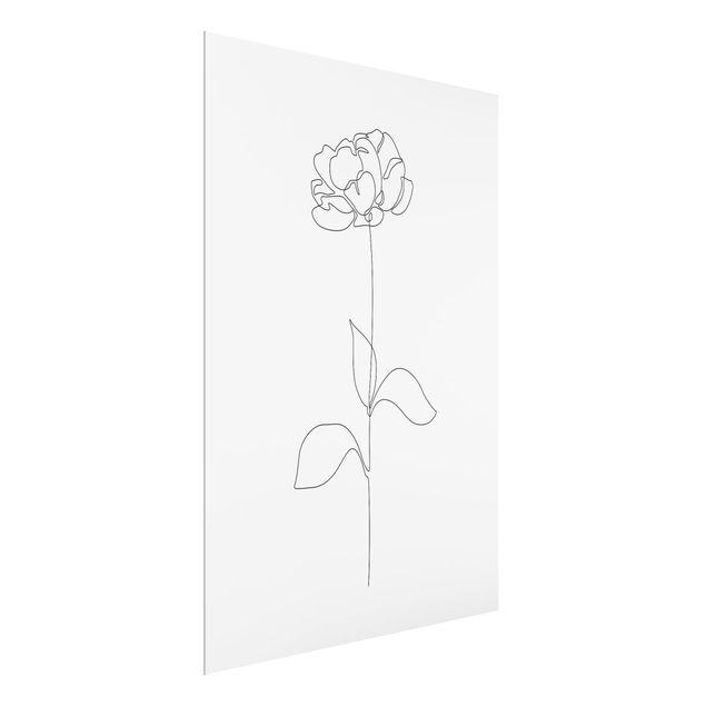 Billeder moderne Line Art Flowers - Peony