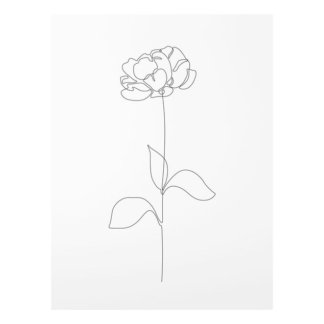 Billeder sort og hvid Line Art Flowers - Peony