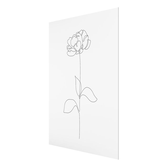 Billeder Line Art Flowers - Peony