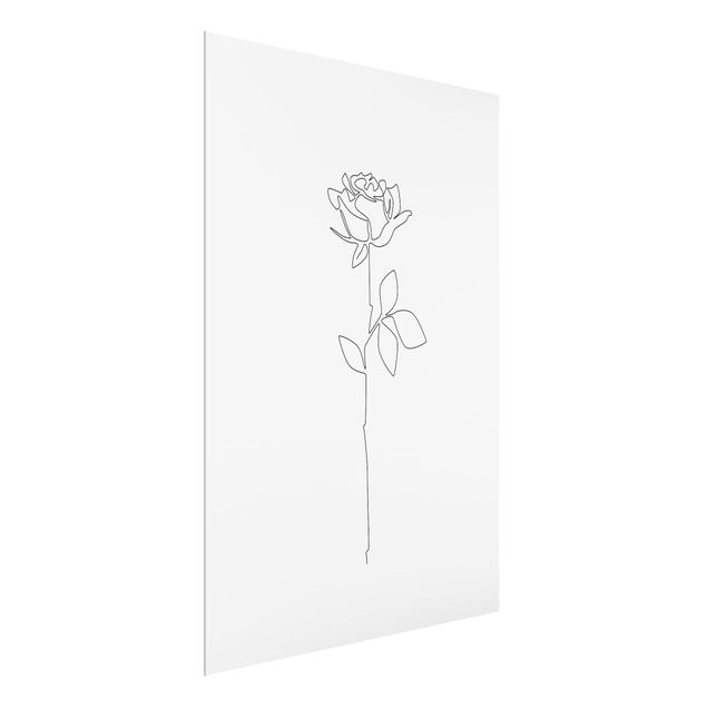 Billeder moderne Line Art Flowers - Rose