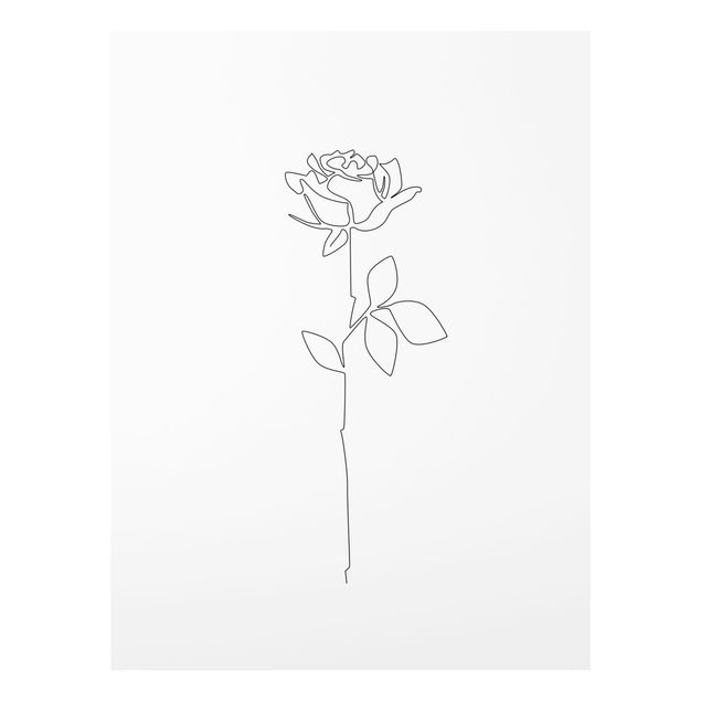 Billeder sort og hvid Line Art Flowers - Rose