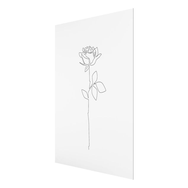 Billeder Line Art Flowers - Rose